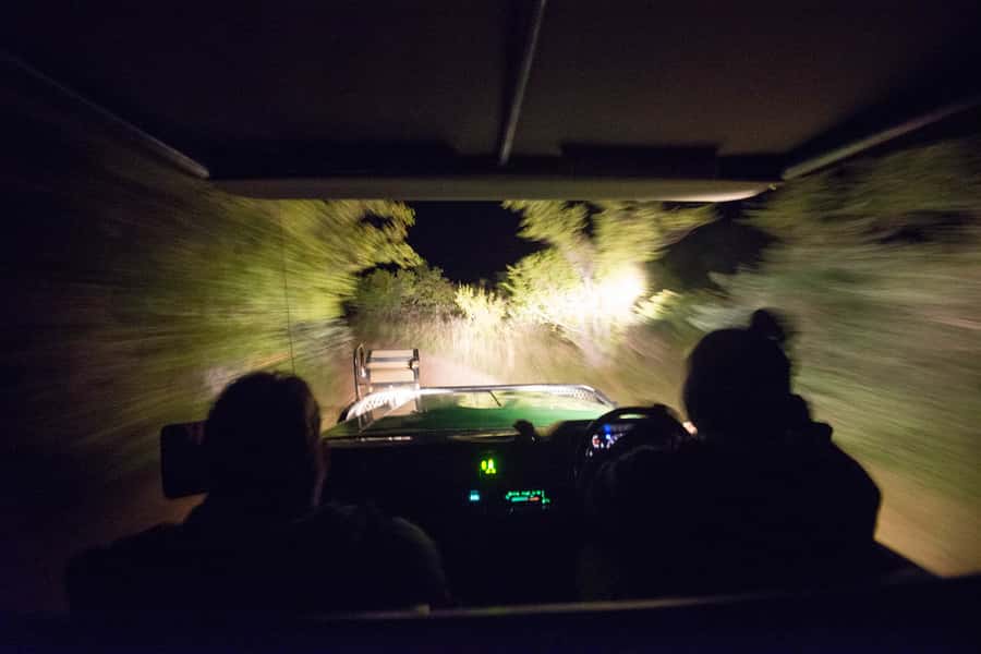 Johannesburg: 4-Day Classic Kruger National Park Safari - Walking with armed rangers on day two