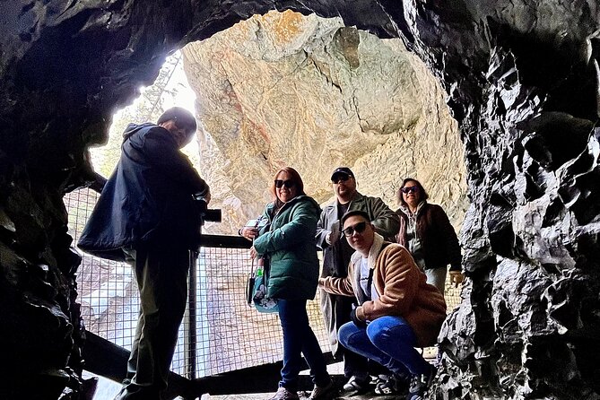 Johnston Canyon, Lake Louise & Banff: Small-Group Day Tour - Lake Louise in every season