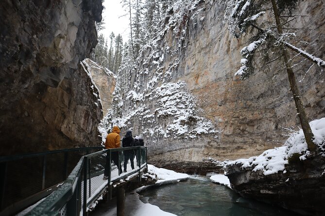 Johnston Canyon, Lake Louise & Banff: Small-Group Day Tour - Two hours in Banff Avenue