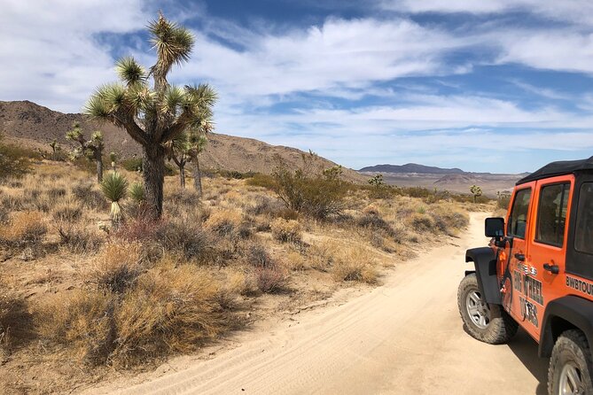 Joshua Tree National Park Offroad Tour - The off-road section: exciting, not effortless