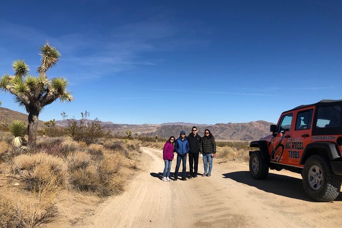 Joshua Tree National Park Offroad Tour - Rocks, plants, wildlife, and the human past