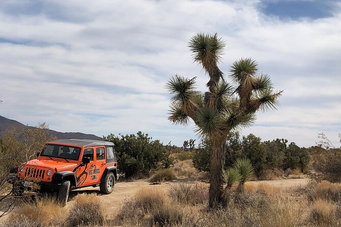 Joshua Tree National Park Offroad Tour - Is the $220 price fair?