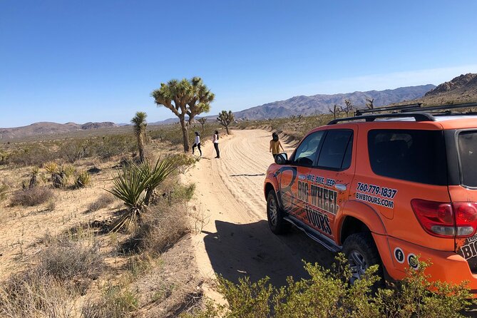 Joshua Tree National Park Offroad Tour - Why the guides matter here