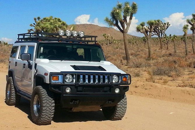 Joshua Tree National Park Scenic Tour - From Palm Springs to Joshua Tree’s granite country