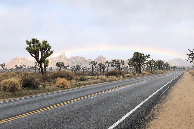 Joshua Tree National Park Scenic Tour - Barker Dam Trail, petroglyphs, and a desert water source