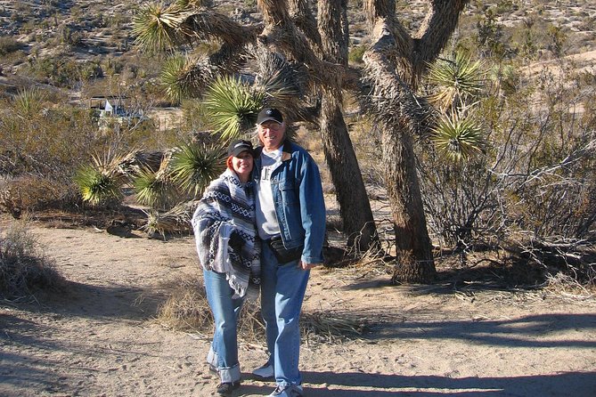 Joshua Tree National Park Scenic Tour - What the guides add to the ride