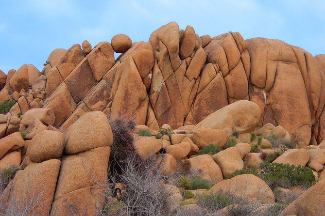 Joshua Tree National Park Scenic Tour - Cap Rock and the geology lesson