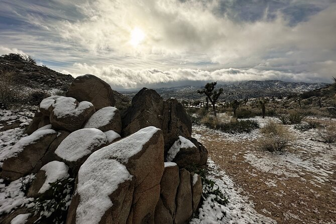 Joshua Tree National Park Self-Guided Driving Audio Tour - What the $16.99 price really covers