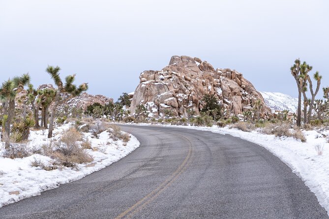 Joshua Tree National Park Self-Guided Driving Audio Tour - Samuelsons Rock and Willow Hole
