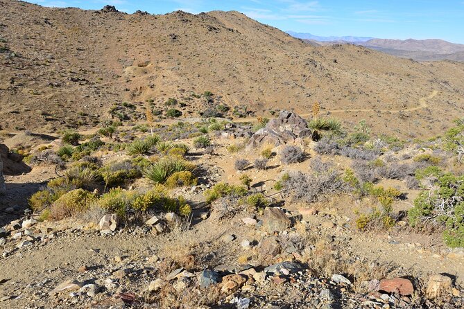 Joshua Tree National Park Self-Guided Driving Audio Tour - Climbing country at Hemingway Buttress and Intersection Rock