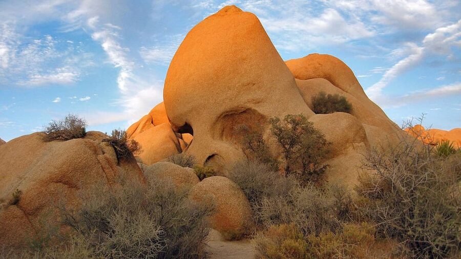 Journey into Joshua Tree: Audio Driving Tour and Local Guide - Hidden Valley Nature Trail, a strong all-around stop