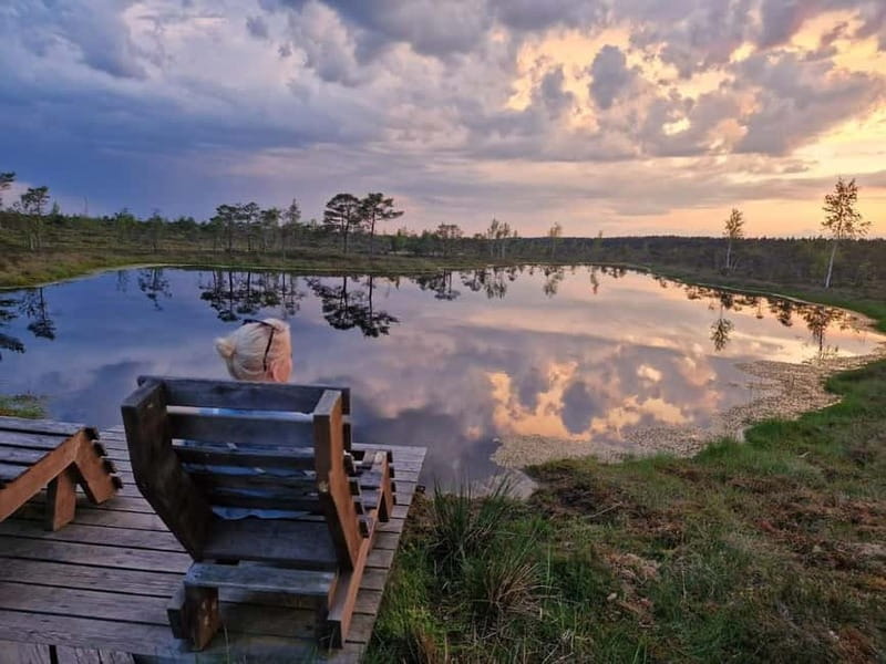 Jurmala: Kemeri National Park Sunset Trip - Why the Kemeri bog is the reason to go