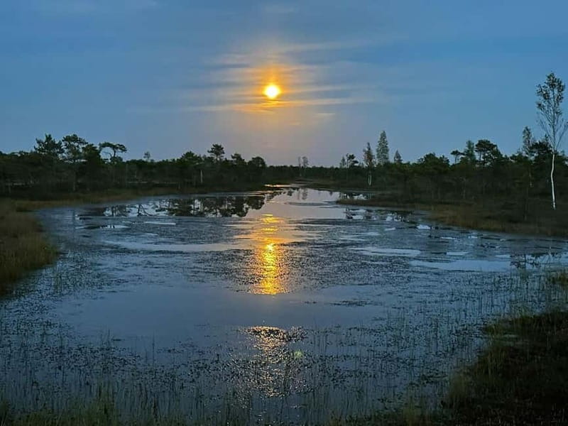 Jurmala: Kemeri National Park Sunset Trip - Jurmala’s architecture and beach stop
