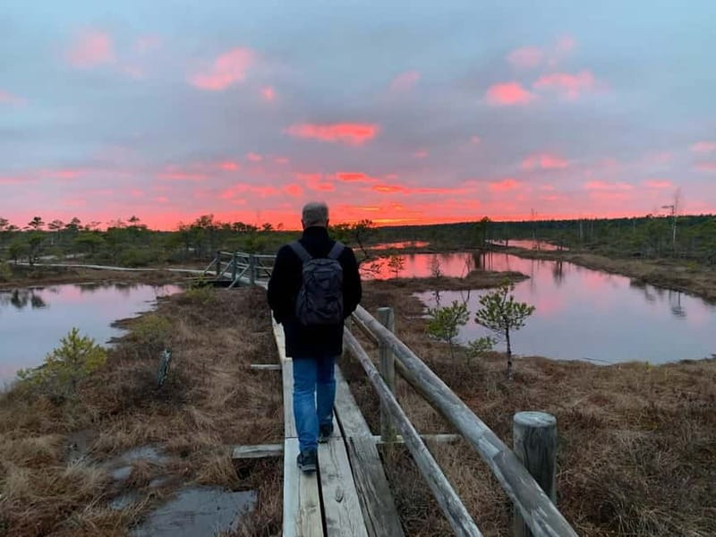 Jurmala: Kemeri National Park Sunset Trip - Walking the wooden route through Kemeri Great Bog