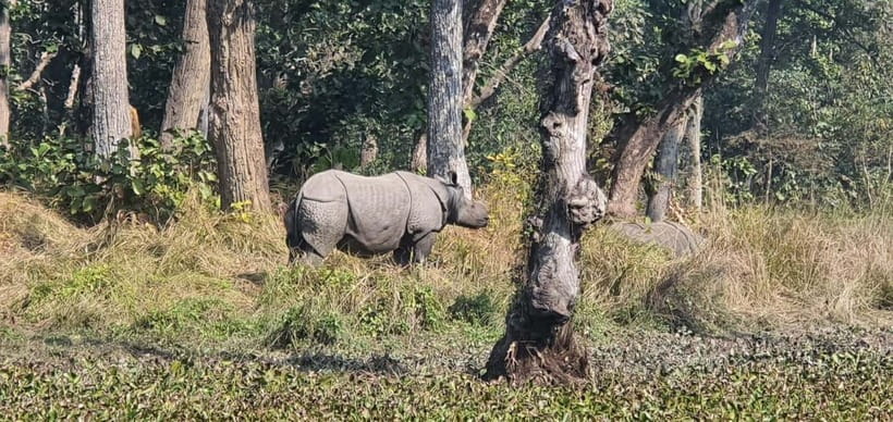 Kathmandu: 3-Day Chitwan Safari Tour with Hotel Transfers - Why Chitwan works as a short break from Kathmandu