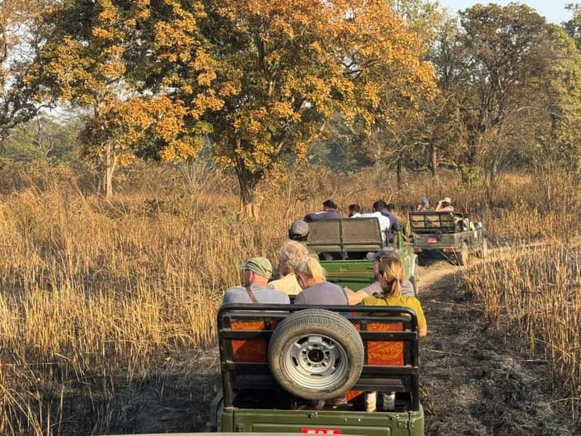 Kathmandu: 3-Day Chitwan Safari Tour with Hotel Transfers - The lodging and meals: practical comfort, not luxury