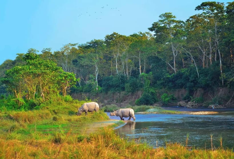 Kathmandu/Pokhara: 3 Day Chitwan Jungle Safari Tour - Key points at a glance