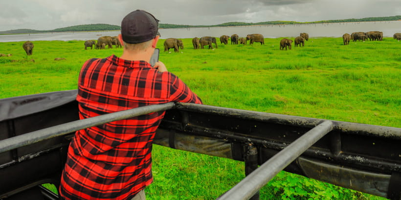 Kaudulla National Park Half Day Sri Lanka Jeep Safari - Why Kaudulla’s elephant gathering is the main attraction