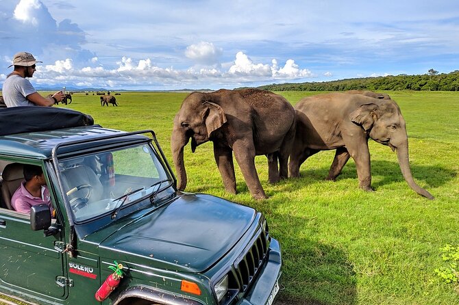 Kaudulla National Park Safari | Jeep with Tickets - The private jeep makes a real difference
