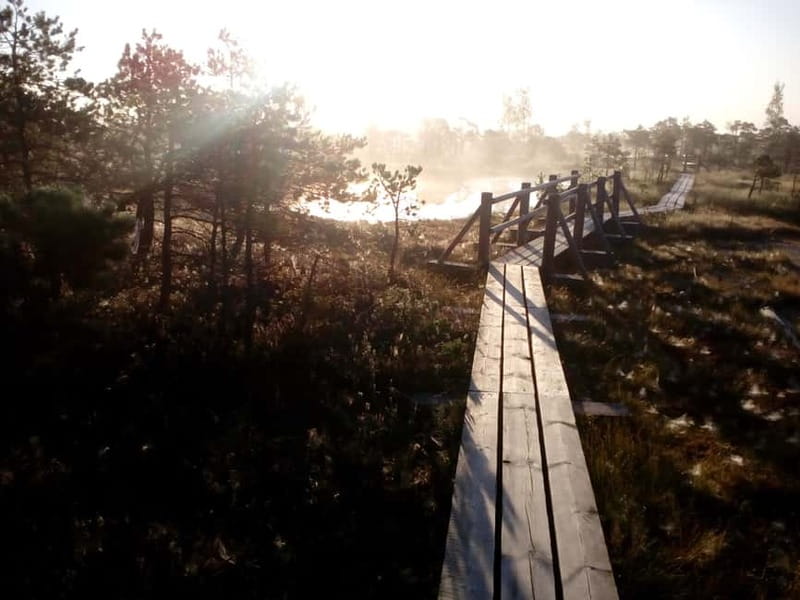 Kemeri National Park Bog Trail near Riga - Key points to know before booking