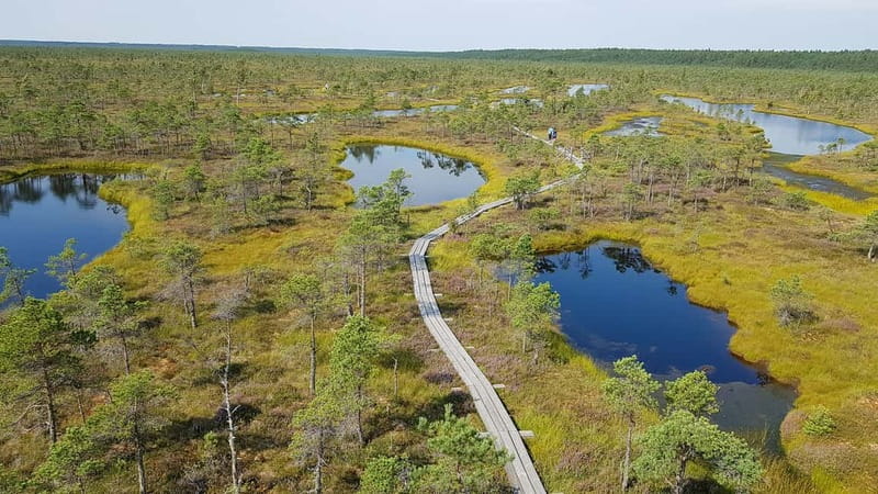 Kemeri National Park Bog Trail near Riga - A quiet bog within easy reach of Jurmala