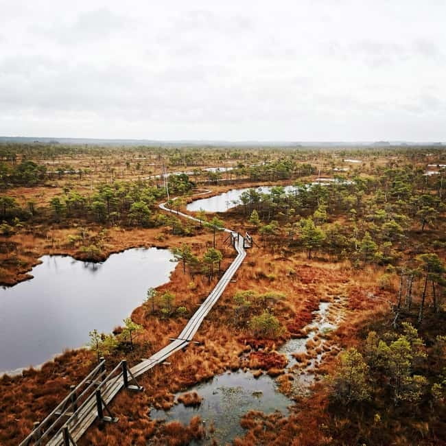 Kemeri National Park Bog Trail near Riga - Jurmala brings in the Baltic coast