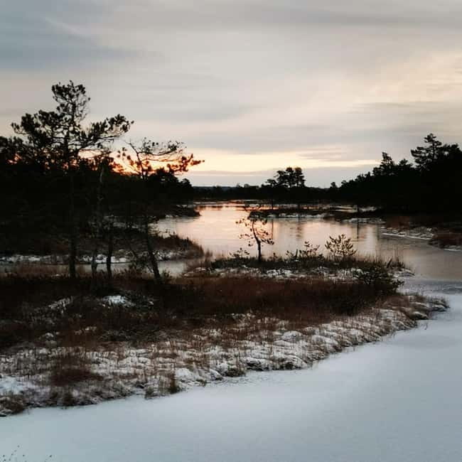 Kemeri National Park Bog Trail near Riga - Weather changes the character of Kemeri