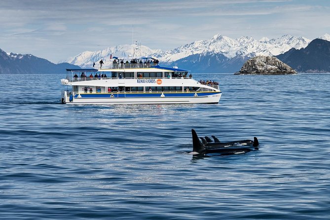 Kenai Fjords National Park Glacier & Wildlife Cruise - Is the $265.23 price fair?