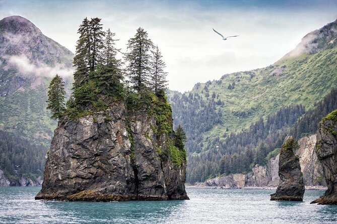 Kenai Fjords National Park Glacier & Wildlife Tour from Seward - Key Things to Know Before You Sail