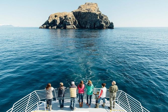 Kenai Fjords National Park Glacier & Wildlife Tour from Seward - Why This Seward Cruise Is Worth Your Time