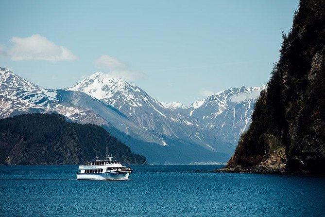 Kenai Fjords National Park Glacier & Wildlife Tour from Seward - Starting in Resurrection Bay From Seward