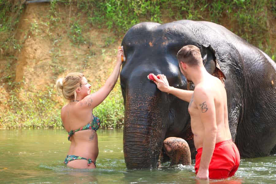 Khao Lak: Khao Sok Bamboo Rafting and Elephant Bathing Trip - Bamboo rafting under Khao Sok’s limestone cliffs