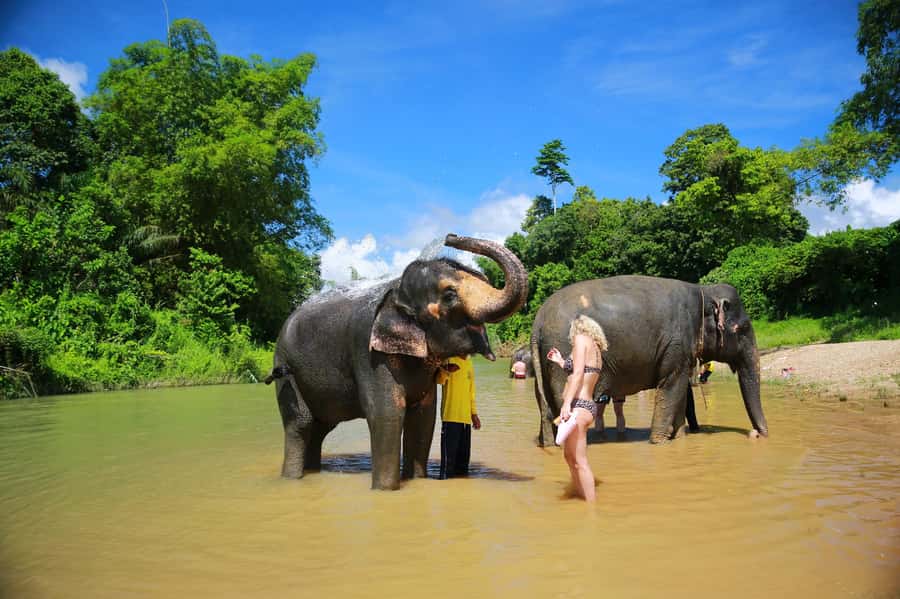 Khao Lak: Khao Sok National Park Overnight Treehouse Trip - The practical limits you should know