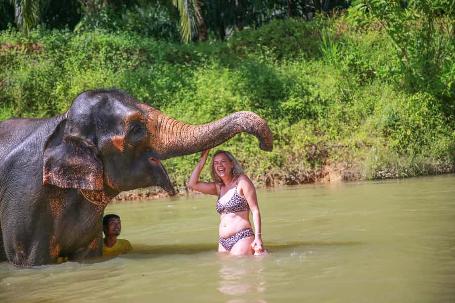 Khao Lak: Khao Sok National Park Overnight Treehouse Trip - Why this trip works so well