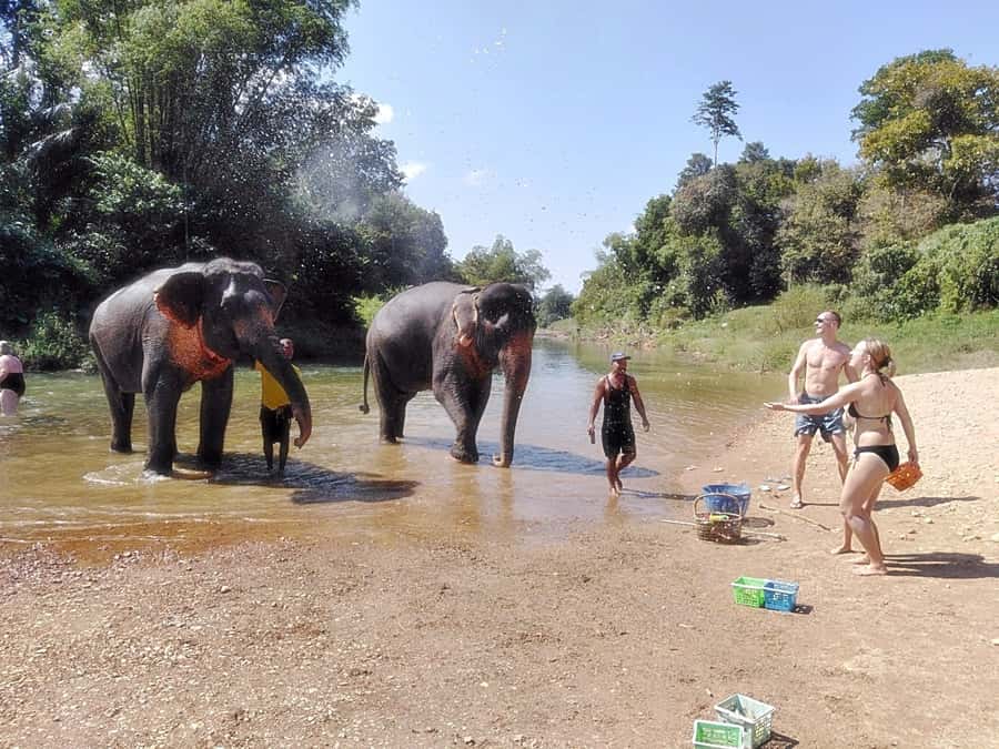 Khao Lak: Khao Sok Private Ethical Elephants & Rafting - From Khao Lak to Khao Sok by private van