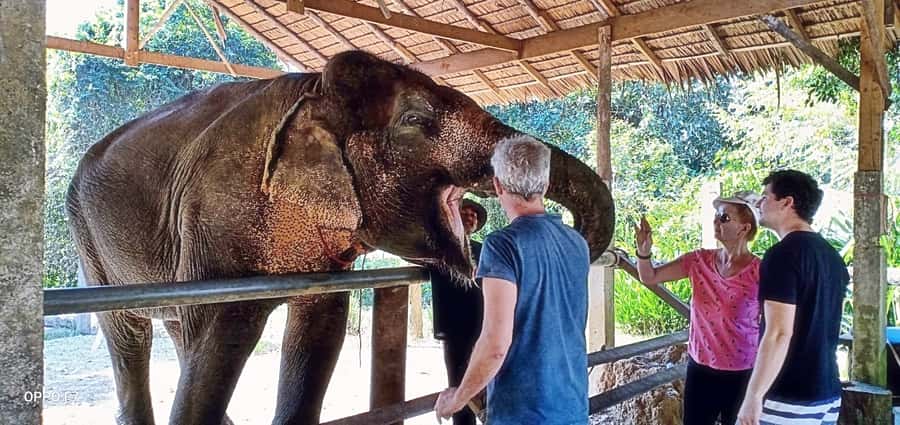 Khao Lak: Khao Sok Private Ethical Elephants & Rafting - A temple stop before the drive home