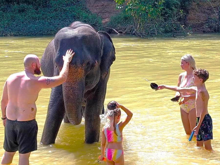 Khao Lak: Khao Sok Private Ethical Elephants & Rafting - Guides, transport, and group size