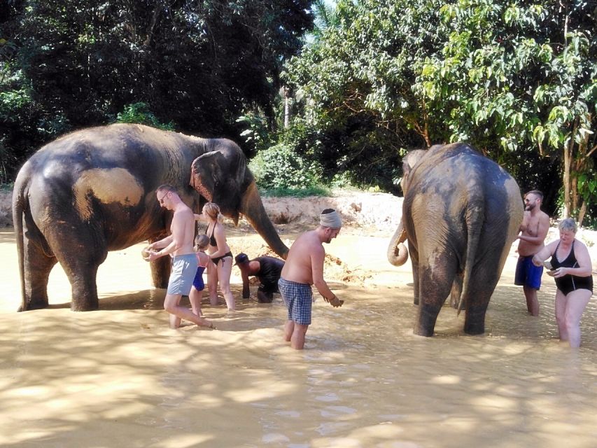 Khao Lak: Khao Sok Private Ethical Elephants & Rafting - What to bring and what to expect