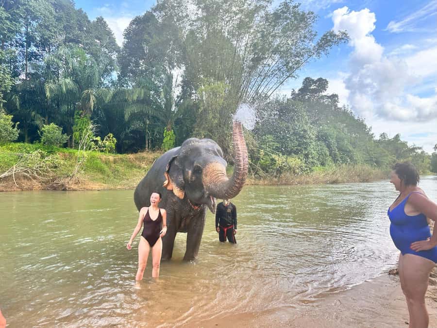 Khao Sok: Elephant Day Care, & Bamboo Rafting Day Tour - Key points at a glance
