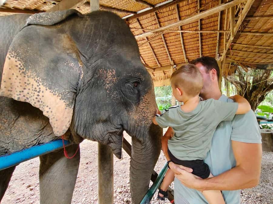 Khao Sok: Elephant Day Care, & Bamboo Rafting Day Tour - Guides, group size, and practical comfort