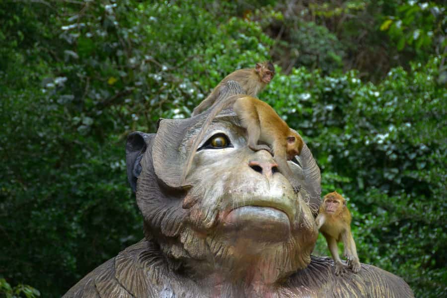 Khao Sok: Elephant Rescue Center with Lunch & Bamboo Rafting - Who should book this day?