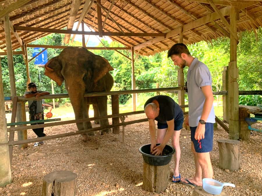 Khao Sok: Elephant Rescue Center with Lunch & Bamboo Rafting - Meeting the elephants at the rescue center