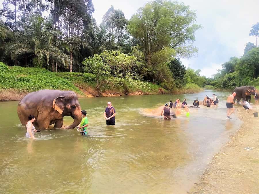 Khao Sok: Elephant Rescue Center with Lunch & Bamboo Rafting - Mea Yai Waterfall and the final ride back