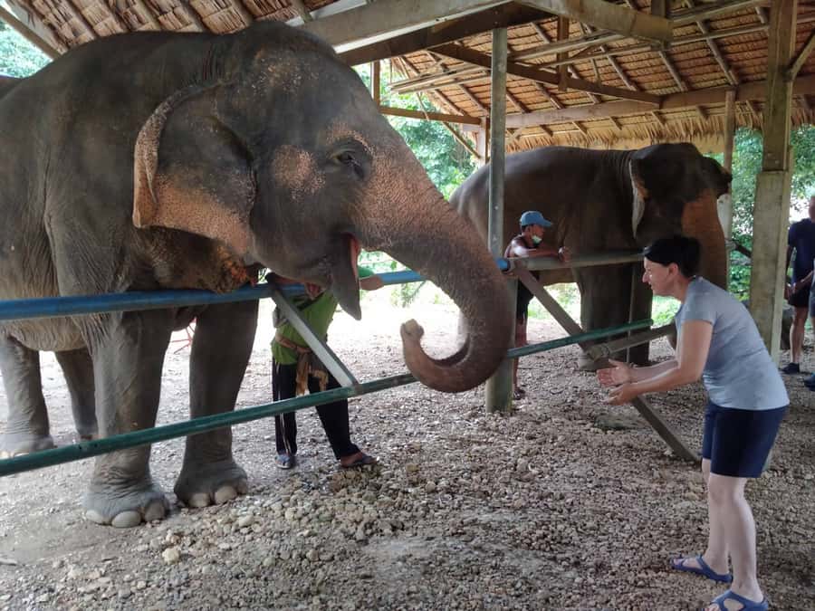 Khao Sok: Elephant Rescue Center with Lunch & Bamboo Rafting - The road from Khao Lak to Khao Sok