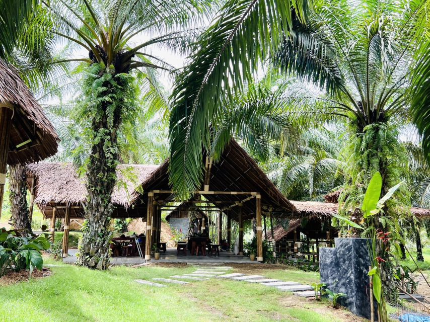 Khao Sok: Ethical Elephant Sanctuary Visit - Why this Khao Sok elephant visit feels different