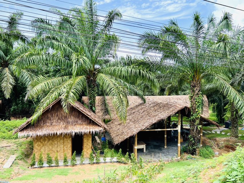 Khao Sok: Ethical Elephant Sanctuary Visit - Feeding, walking, and gentle contact