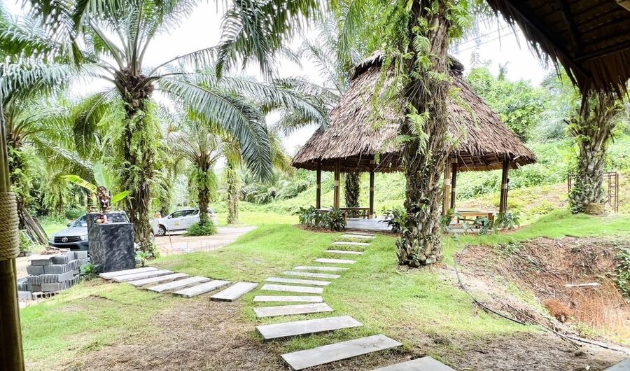 Khao Sok: Ethical Elephant Sanctuary Visit - The conservation lesson matters as much as the photos