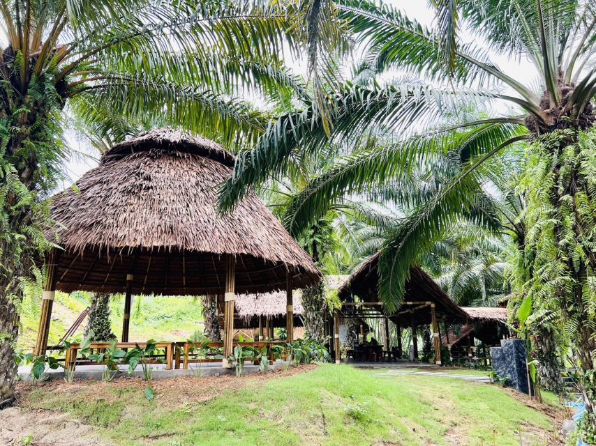 Khao Sok: Ethical Elephant Sanctuary Visit - Cutting banana plants and preparing elephant food