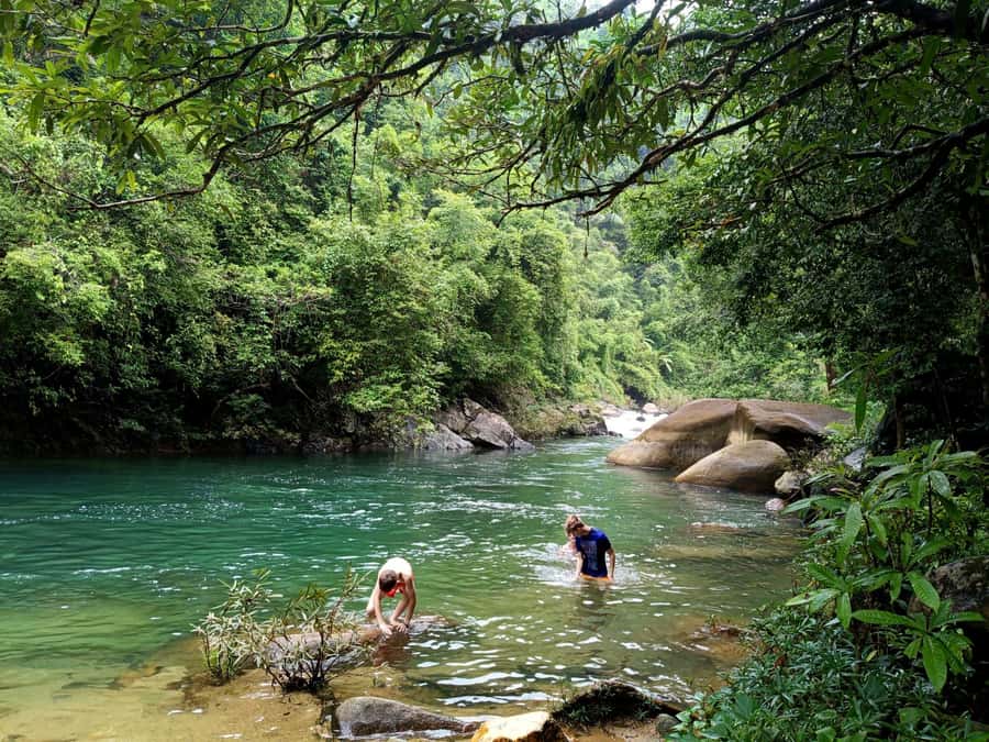 Khao Sok: Private Day Trekking, Jungle Dinner & Night Safari - Key points to know before booking