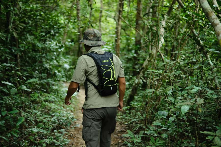 Khao Sok: Private Day Trekking, Jungle Dinner & Night Safari - A 1:30 PM start sets up a full jungle evening